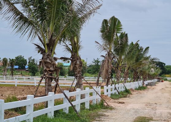 บ้านสวนเกษตร สา-ระ-คาม